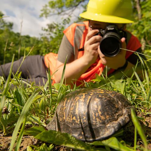 Student takes a close-up photo of a turtle in a field for their work as a photojournalism specialist.