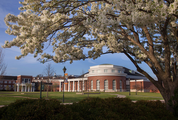 Ohio Gov. Mike DeWine appoints Nancy Drake Hammond to Ohio University Board of Trustees