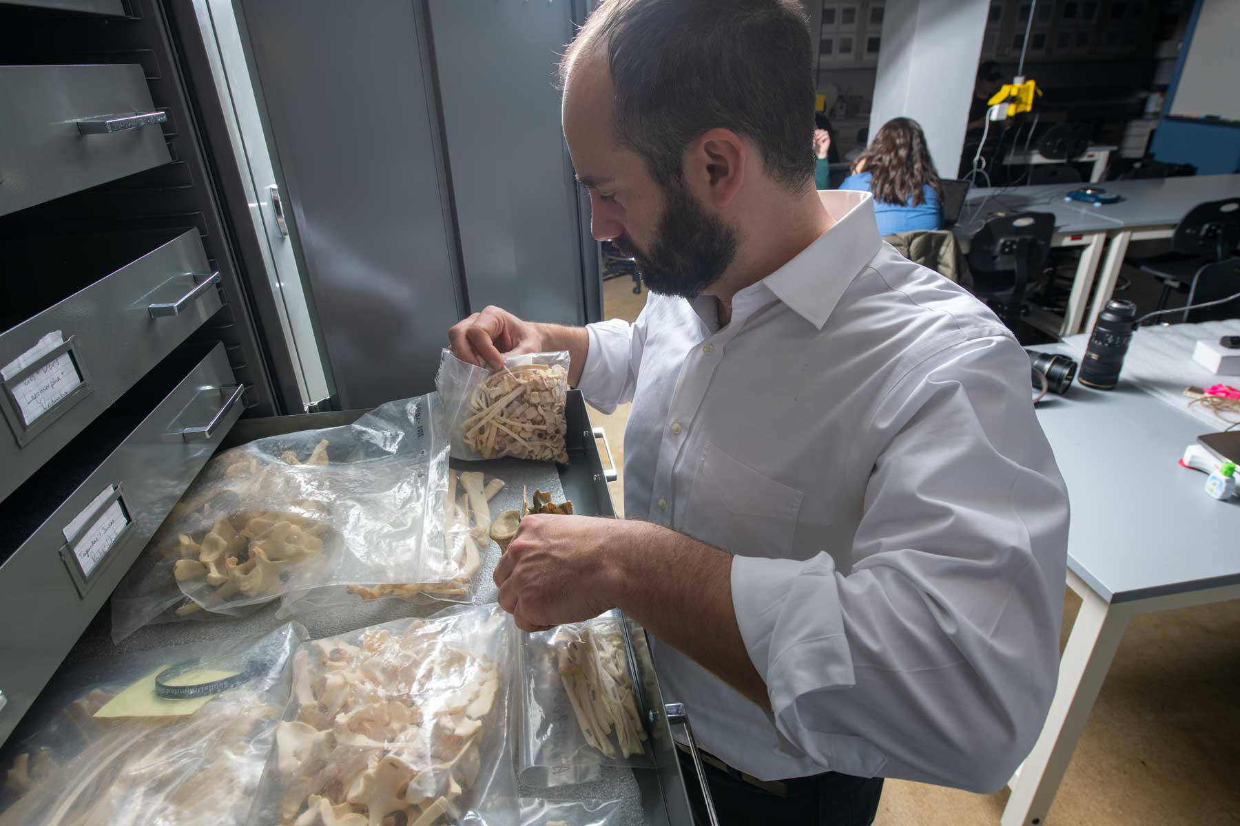 Professor Joseph Gingerich goes through drawers of collected and organized specimens