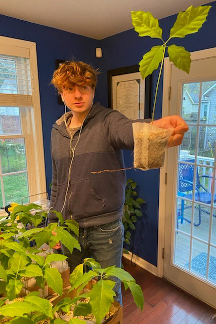 Sam Gutekanst holding sapling