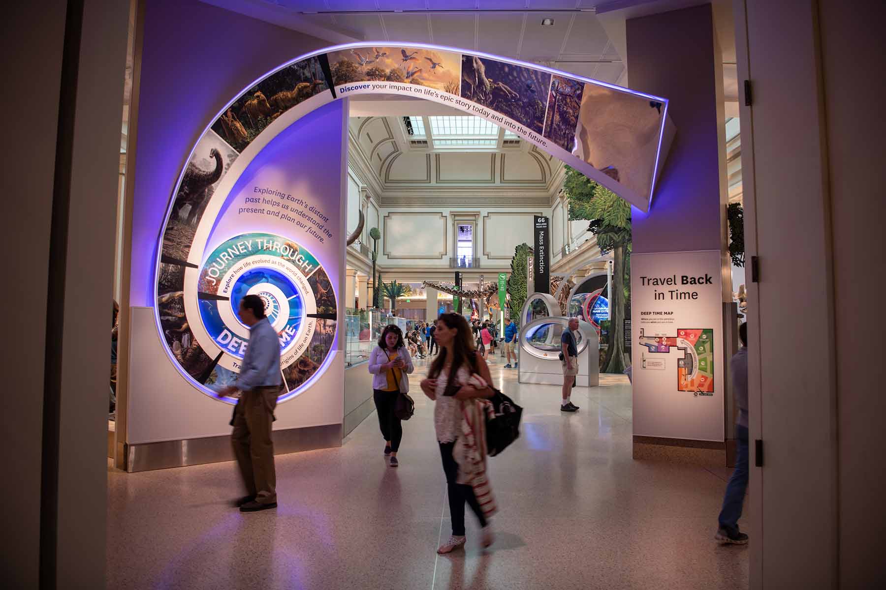 Photo of part of the dinosaur exhibit in the Smithsonian museum