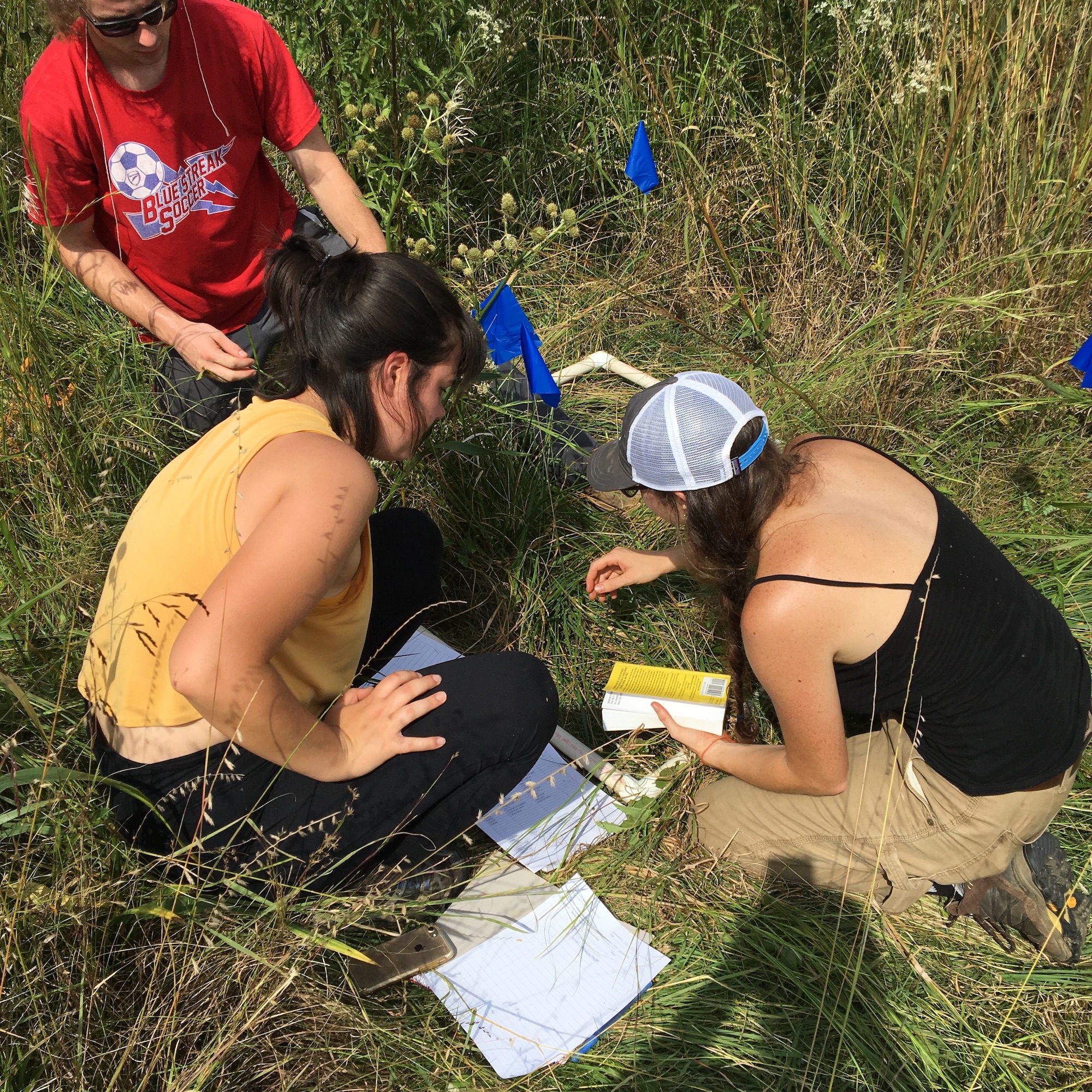 Students working in tall grass on Radar Hill 