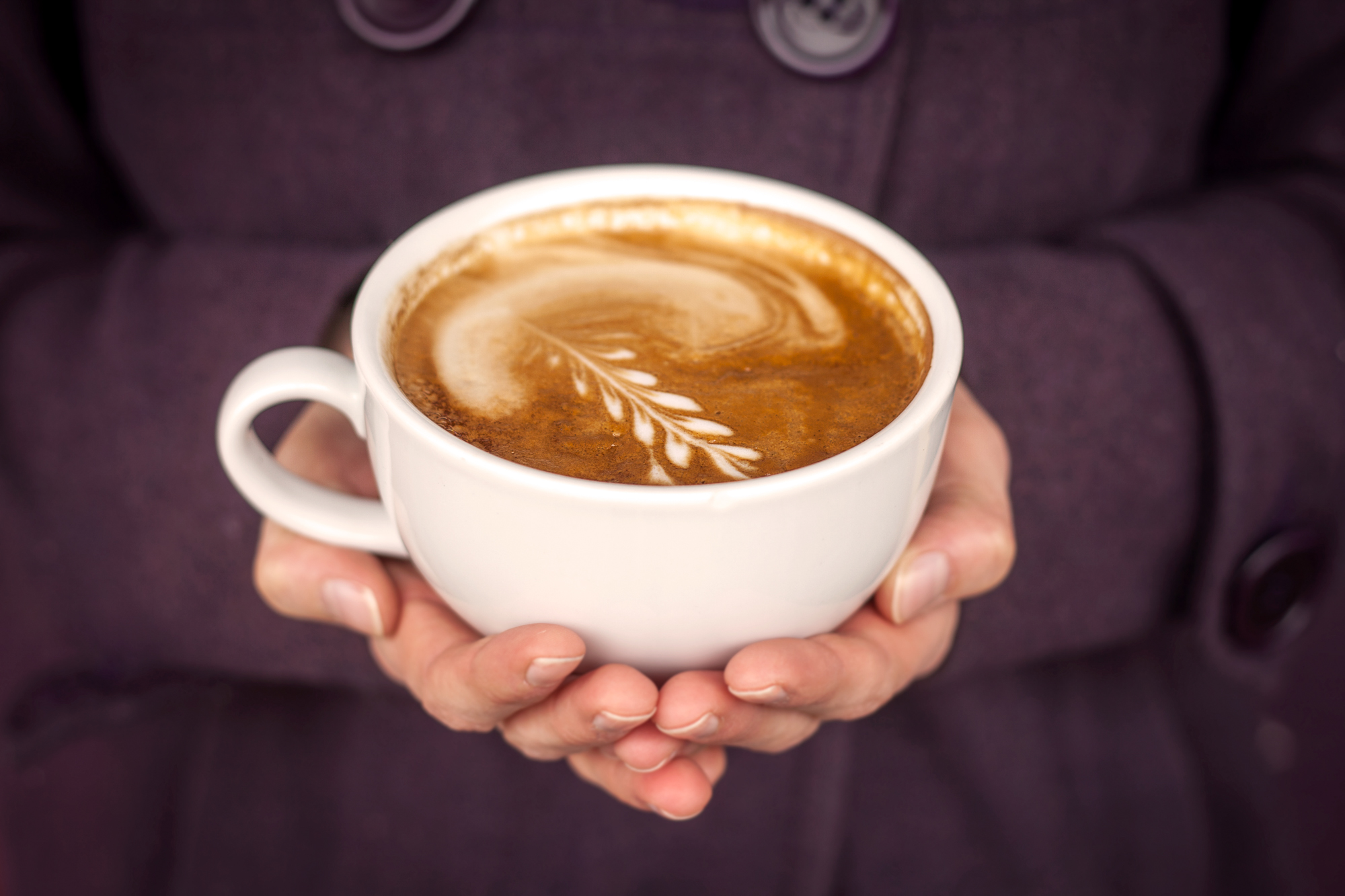A cup of espresso with fancy cream in the shape of a branch being held in two hands