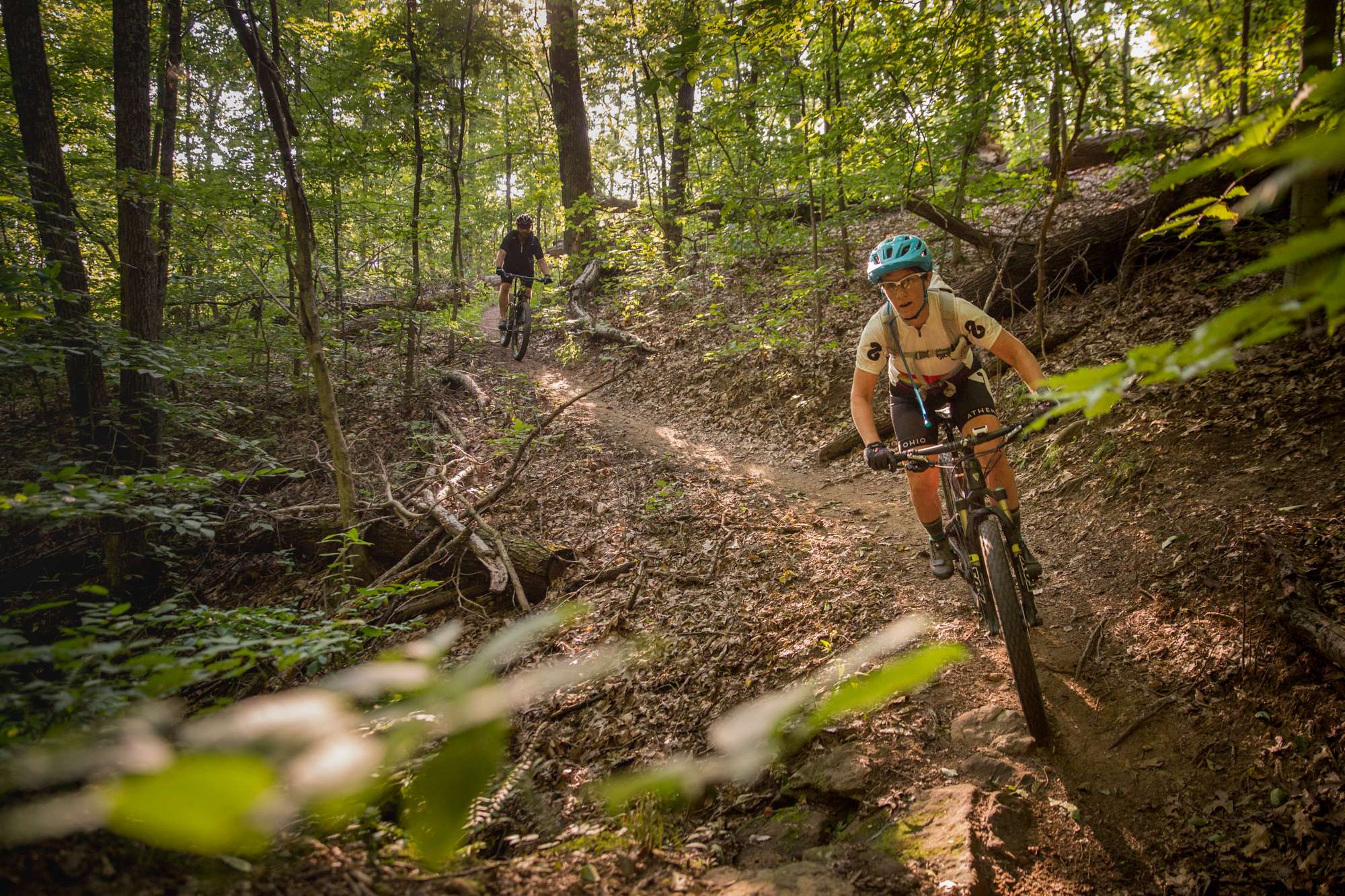 Mountain bikers make their way down a winding forest trail