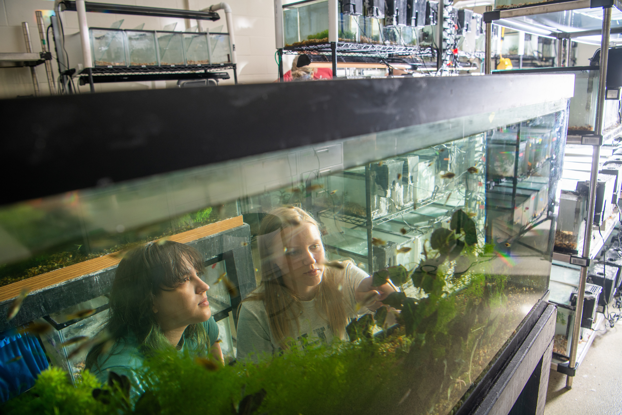 Students enjoy diving into freshwater fish biology research in the
