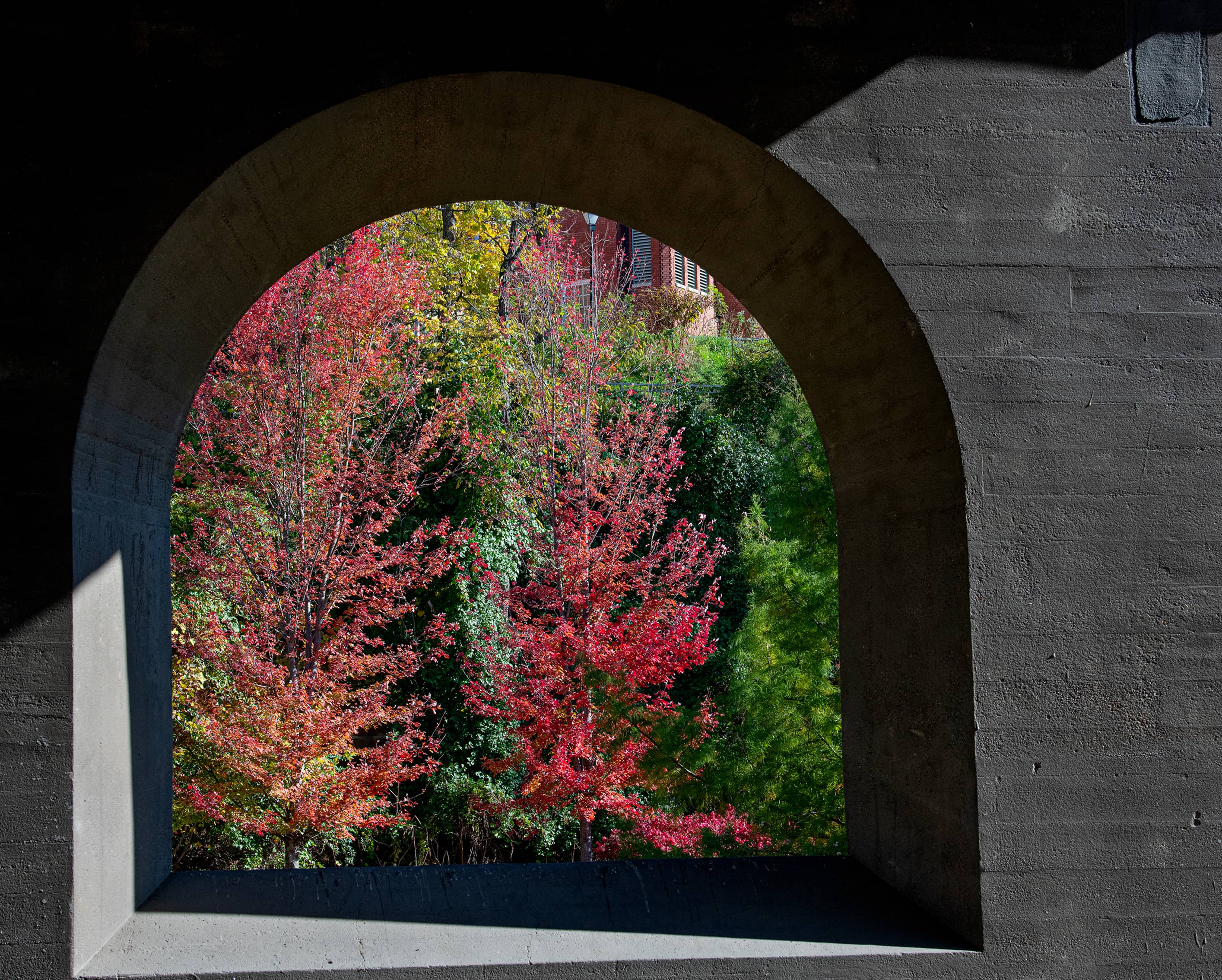 Fall colors framed by the Richland Ave Bridge.