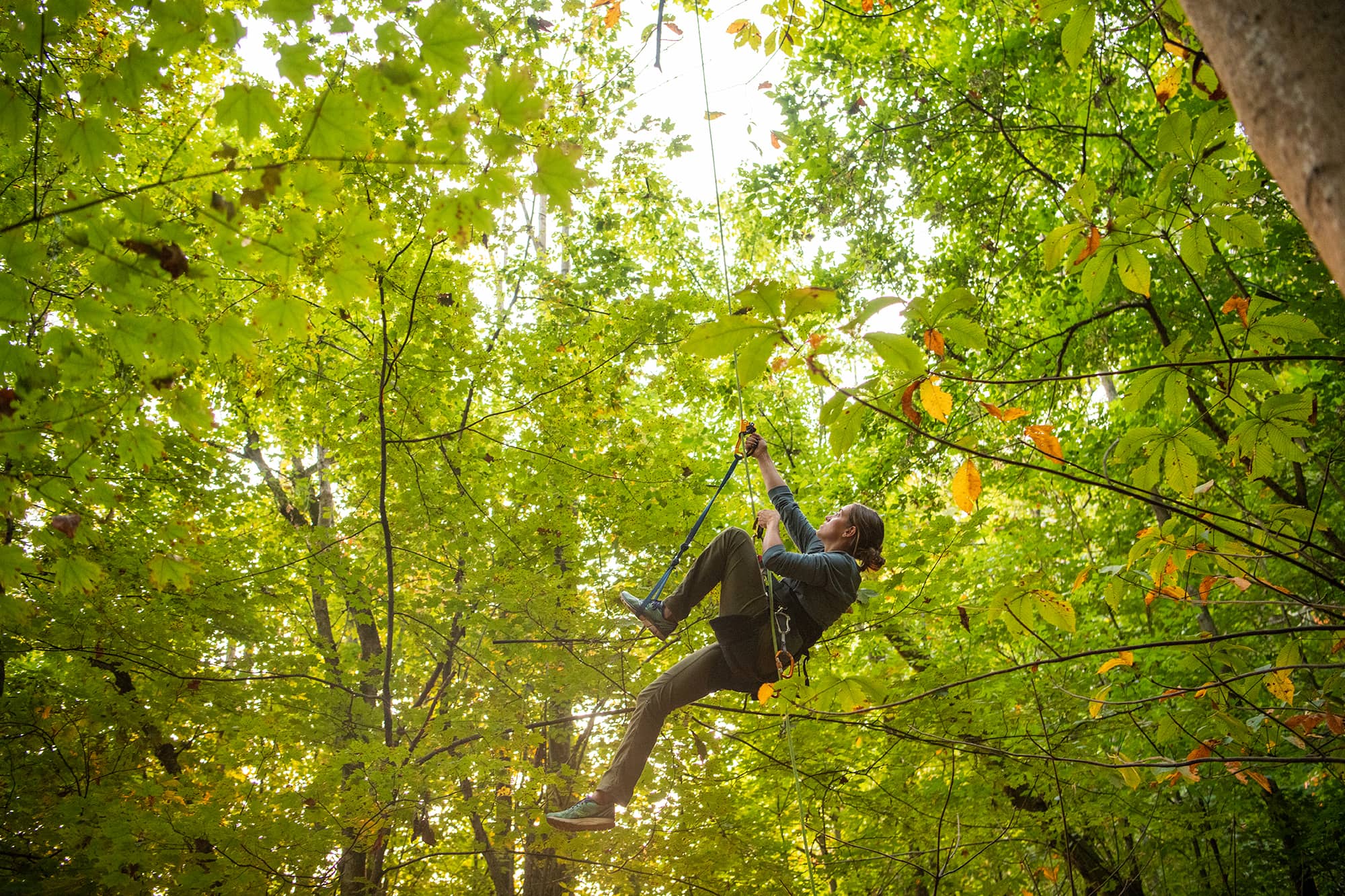 Doctoral student Kelsey Bryant researches the canopy in the Land Lab at the Ridges.