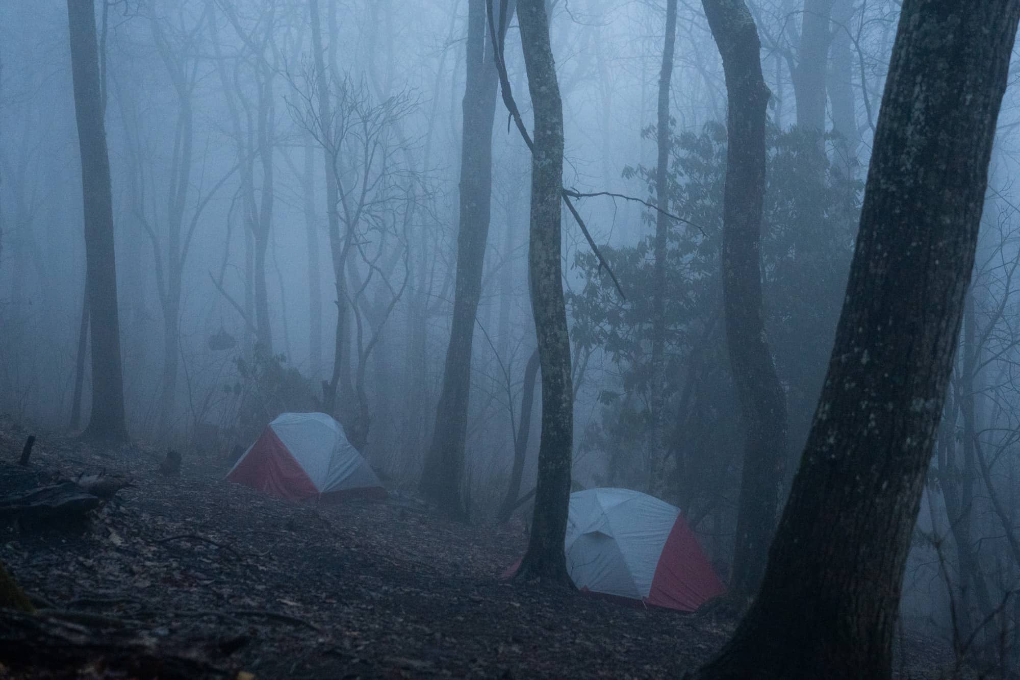 Ohio University students tents stand tall in the rain during the fourth day backpacking a section of the Appalachian Trail in the Nantahala National Forest on Tuesday, March 8, 2022, at the Wayah Bald Shelter near Franklin, North Carolina.