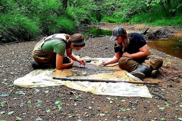 Two OHIO researchers are shown looking at bugs while in the field