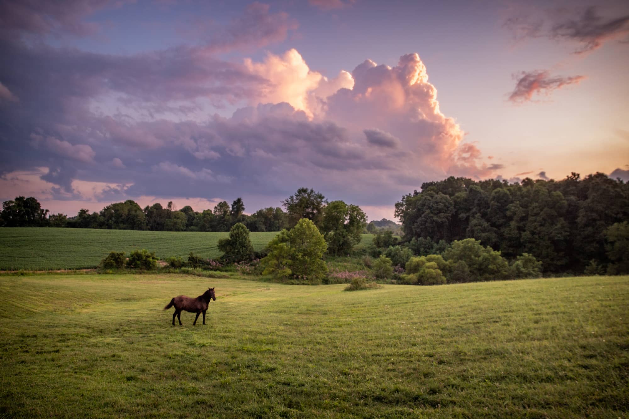 Beautiful skies across the Athens County Horizon in Athens and Waterloo Townships on August 8, 2019.