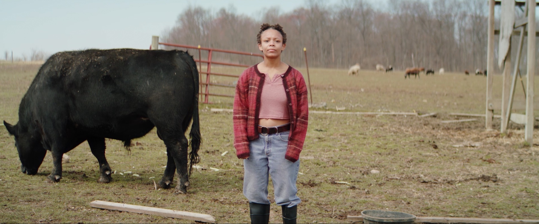Film still showing actor standing in the middle of the shot with a cow to their left