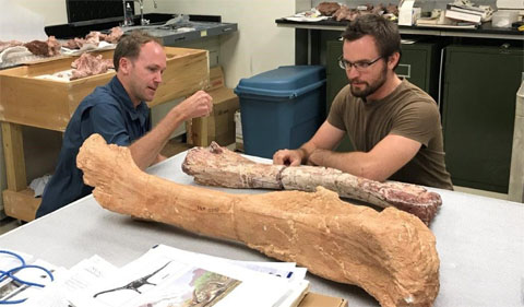 Dr. Pat O’Connor (left) and Dr. Eric Gorscak work in their lab at Ohio University documenting fossil discoveries.