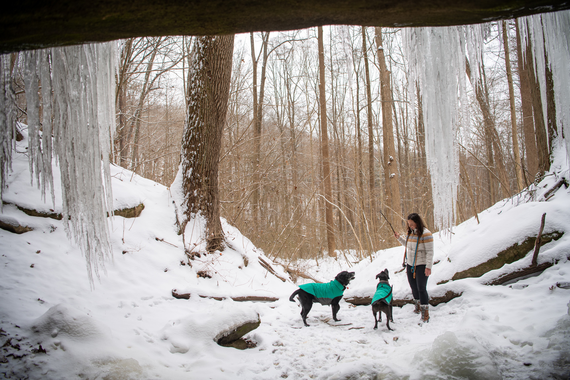 Becky Clark walking her two dogs after a winter snow