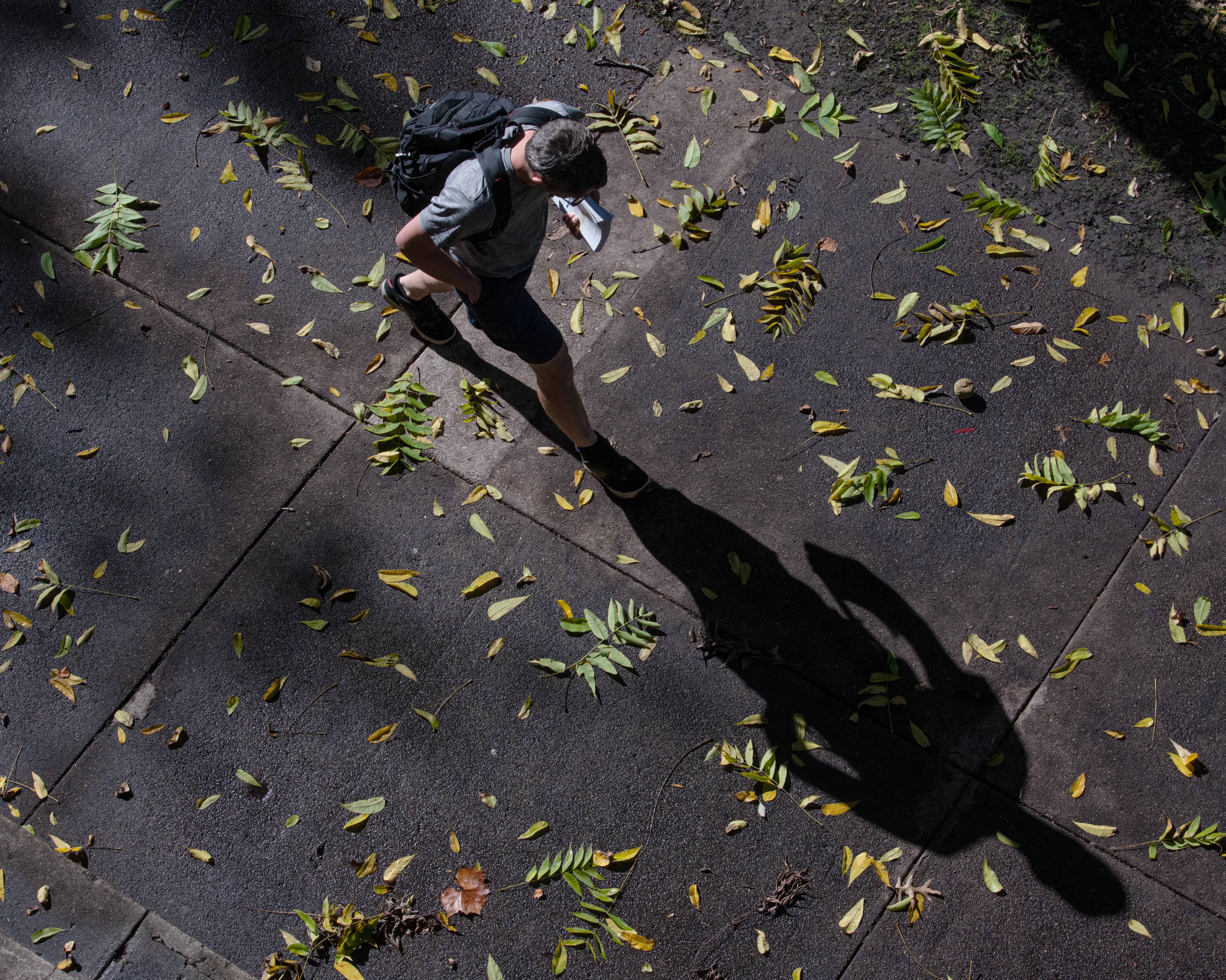 A student walks across a leaf-ladened College Green.