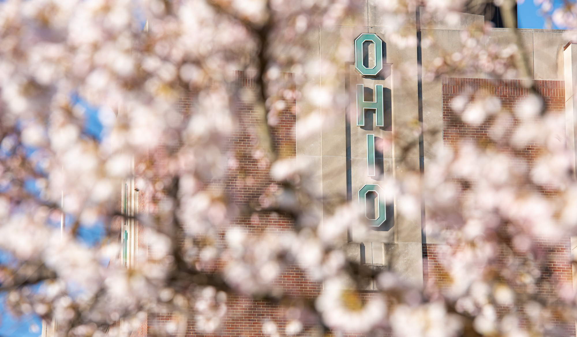 The word &quot;OHIO&quot; on the side of Peden Stadium as seen through a Cherry Blossom tree