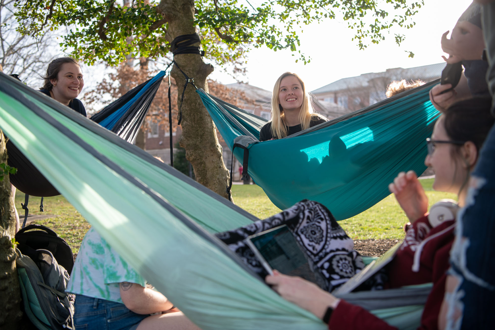 Students study and enjoy some down time together on College Green.