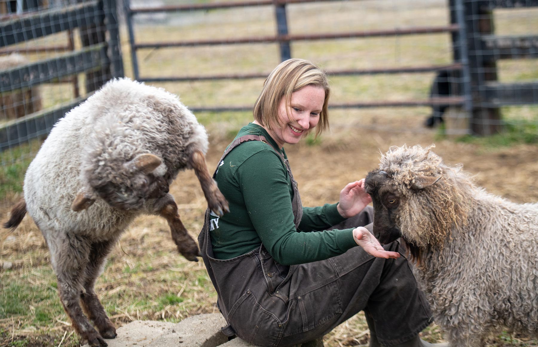 Robin Oliver tending to her goats