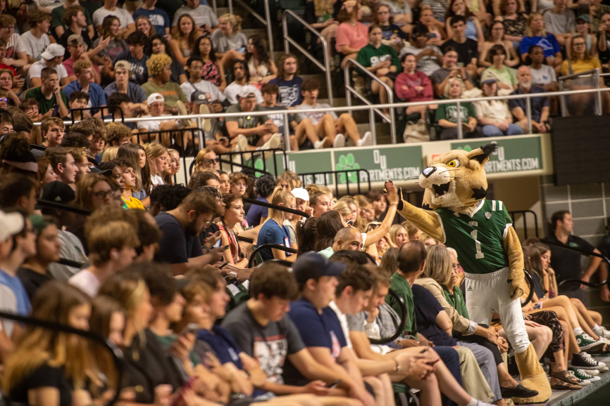 Rufus high fives a student at the First Year Student Convocation.