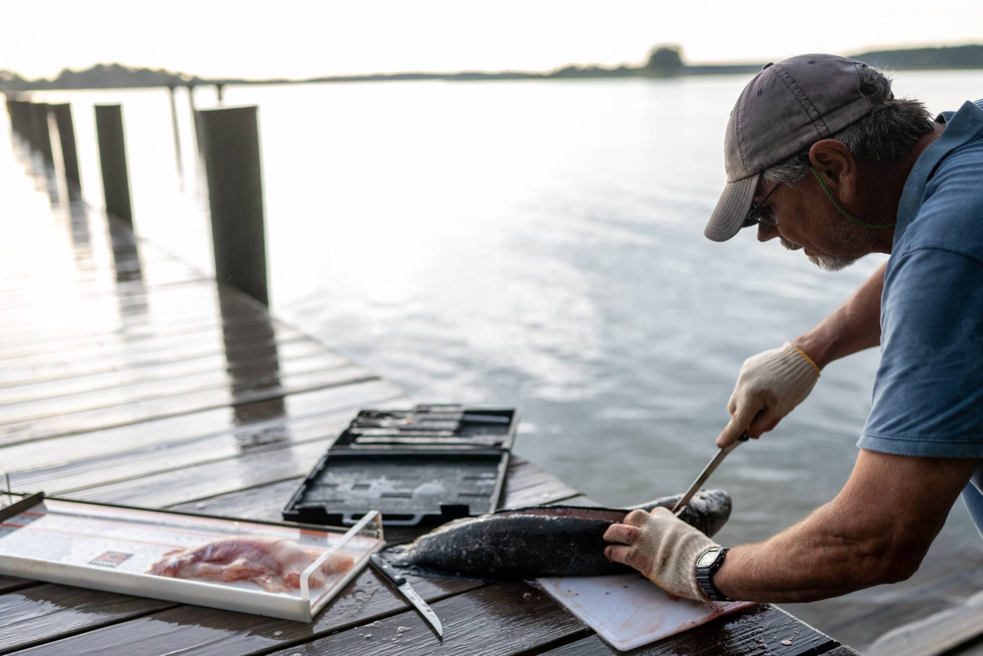 Dr. Willem Roosenberg prepares snakehead fish for dinner at the dock of his home. The fish was caught in a turtle trap on Poplar Island but research protocols prevent the team from returning the fish to the bay because it is an invasive species.