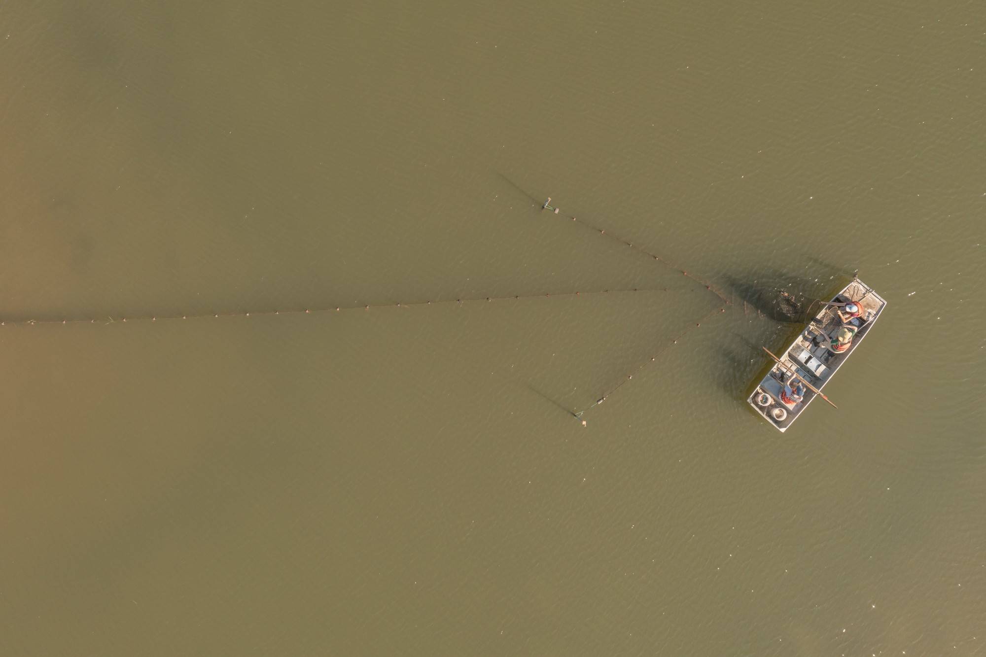 The research team uses a combination of nets and traps to track turtle populations on Poplar Island.