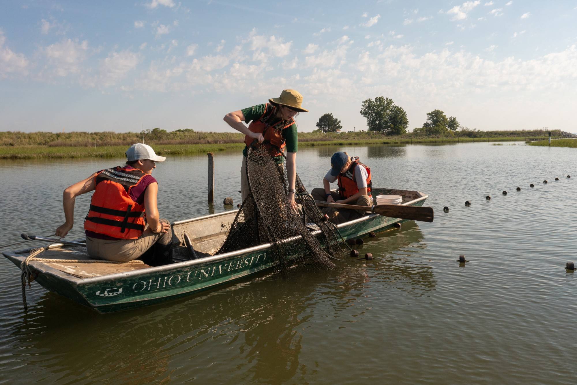 Undergraduate student Molly Haugen pulls a fyke net full of turtles onto a boat on Poplar Island.