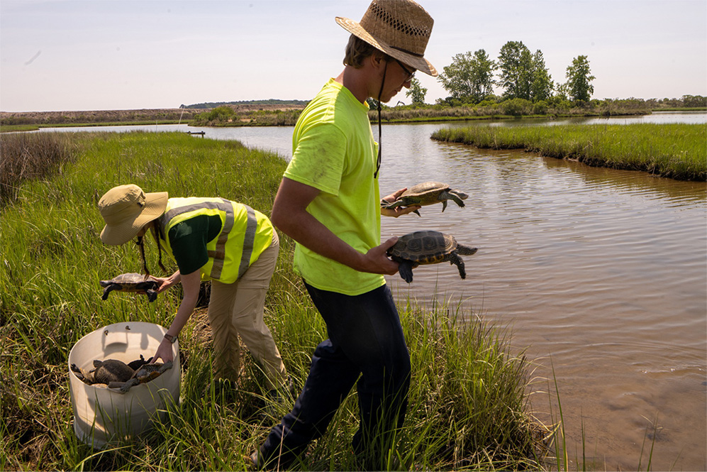 A research team of OHIO students at a Chesapeake Bay island—a living laboratory where they learn about and engage in ecosystem monitoring and restoration. 