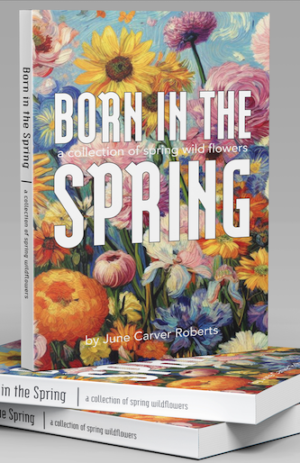 An image of a book cover titled "Born in the Spring" with a colorful floral design