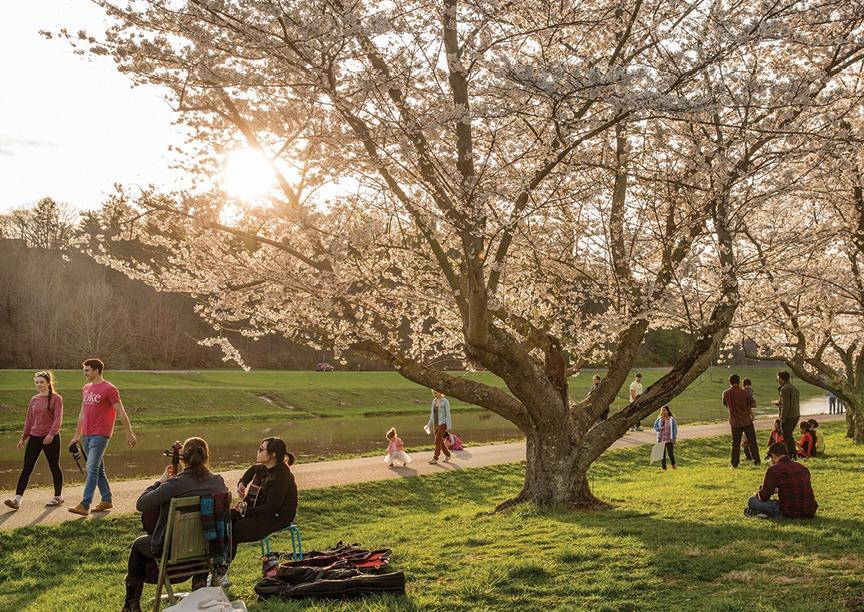 Locals and visitors enjoy OHIO’s cherry blossoms. Photo by Joel Prince, BS ’12, MA ’15, courtesy of Visit Athens County