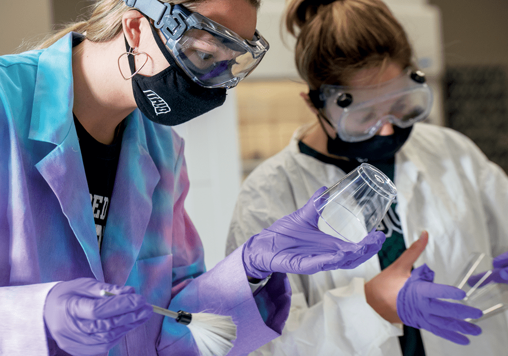 Students lift fingerprints during a Criminalistics and Criminal Investigation for Forensic Chemists course