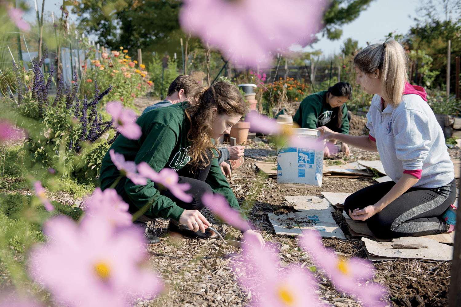 Students enrolled in the Sustainable Agriculture course, which helped meet general education requirements under the tier system, gain experience in growing an organic garden.