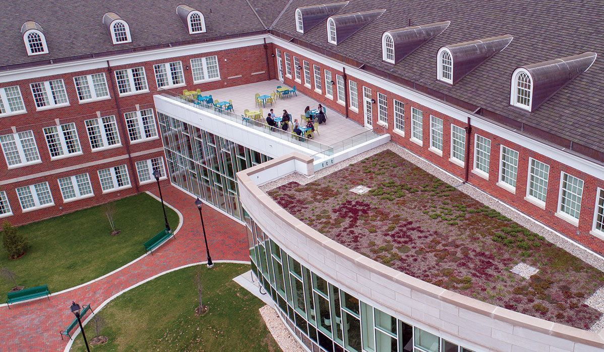 The living roof on The Patton College’s McCracken Hall came alive earlier this spring, once the late spring snow storms passed through and the days grew longer. Photo by Ben Wirtz Siegel, BSVC ’02