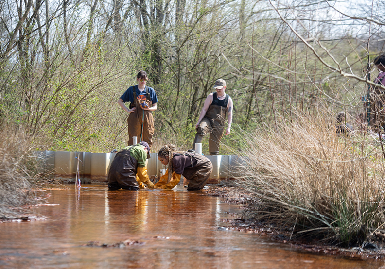 students wearing gaiters dunk a sculpture in a creek