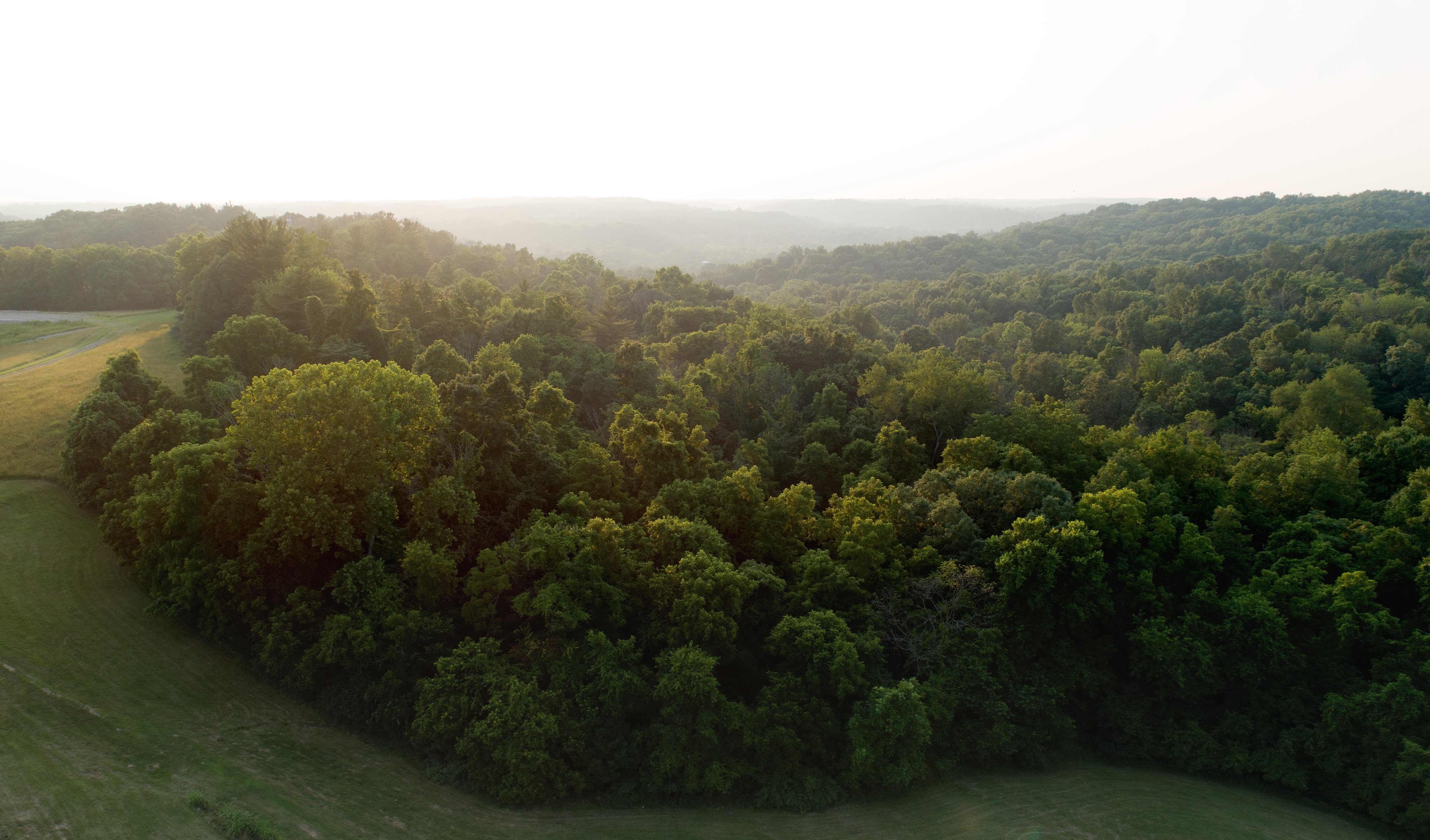 Rolling hills and trees make up a green landscape of southeast Ohio.