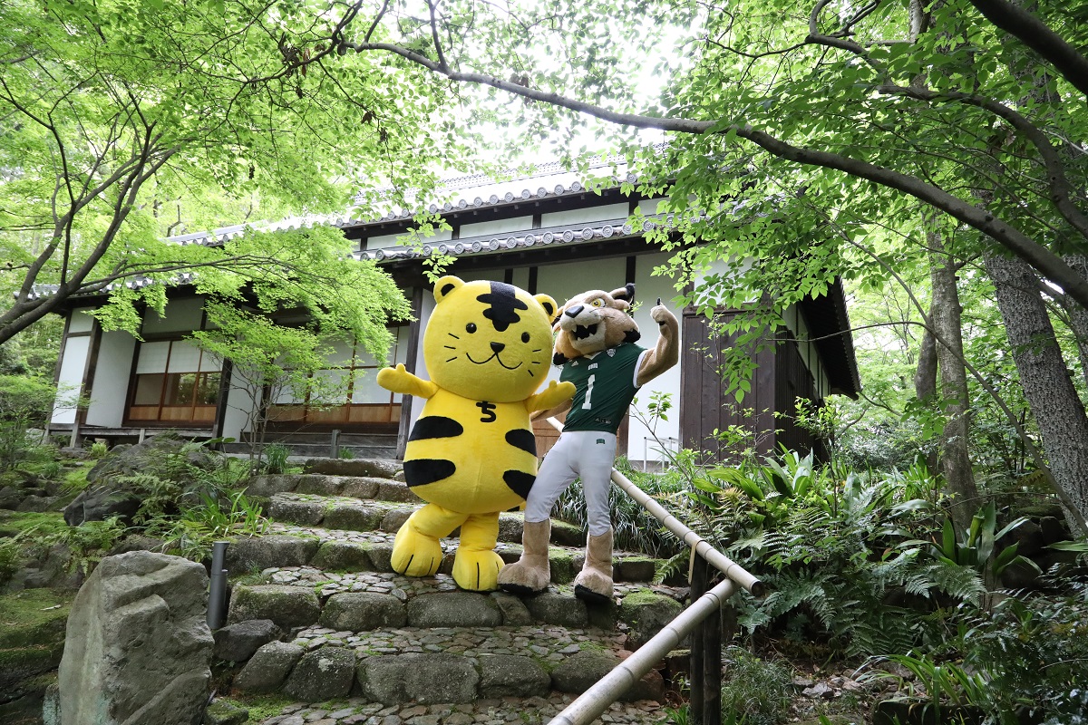 Call for proposals for OHIO–Chubu University Faculty Research Collaboration Grants