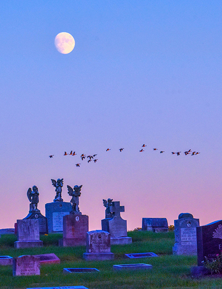 A full moon rises as Canada geese fly over a group of cherubs. St.Joseph Cemetery, Franklin County, Lockbourne, Ohio.