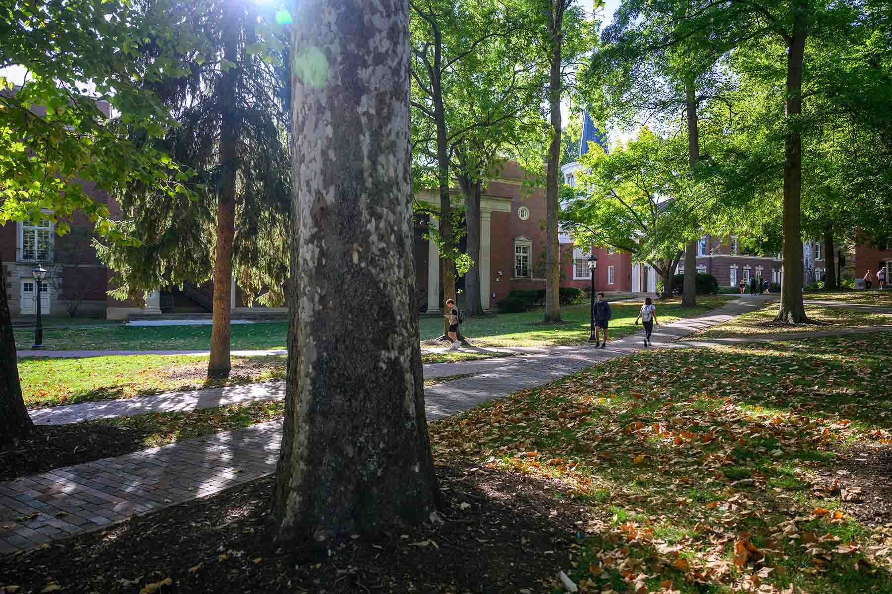 An image of OHIO's College Green.