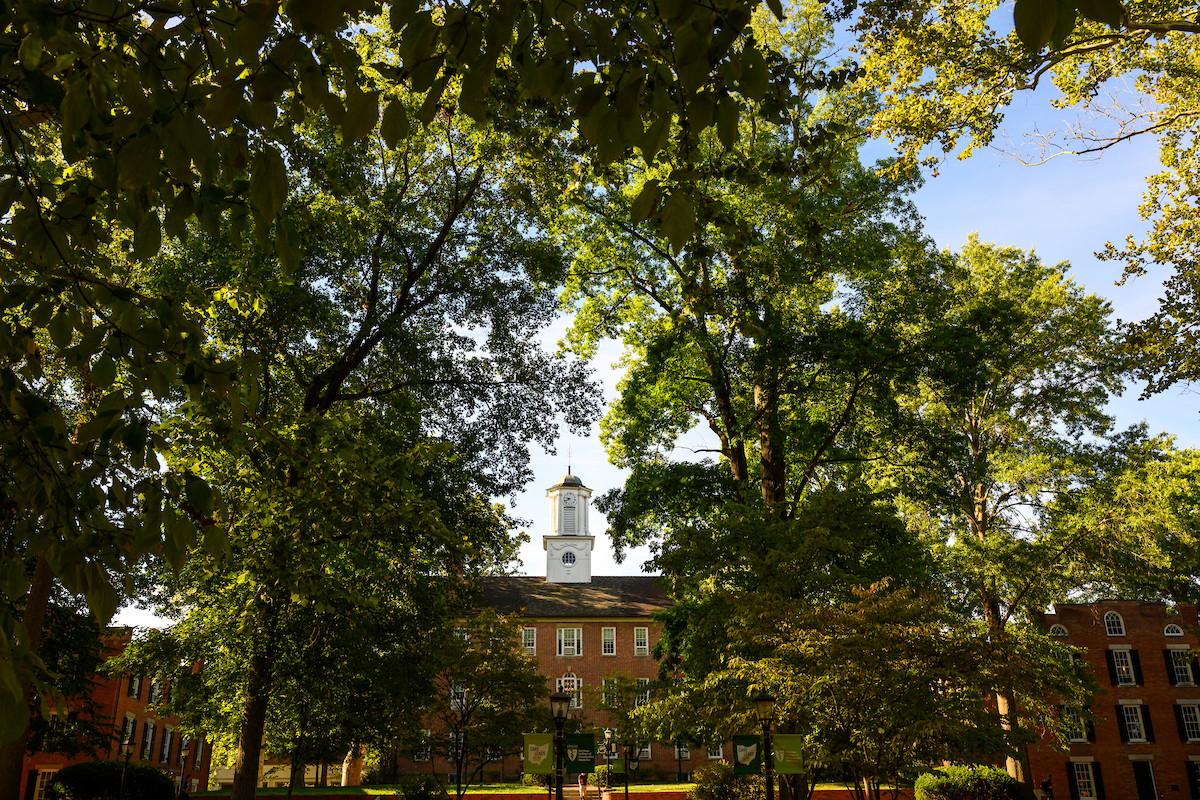 Cutler Hall between the elms