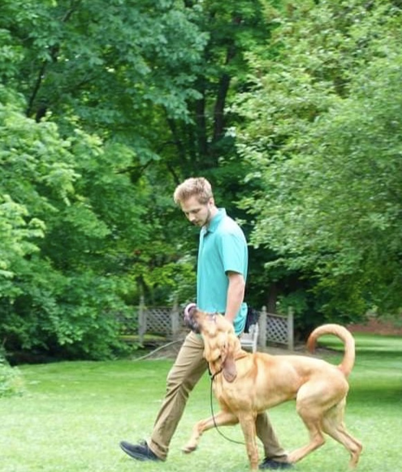 Man walks with dog in grassy field