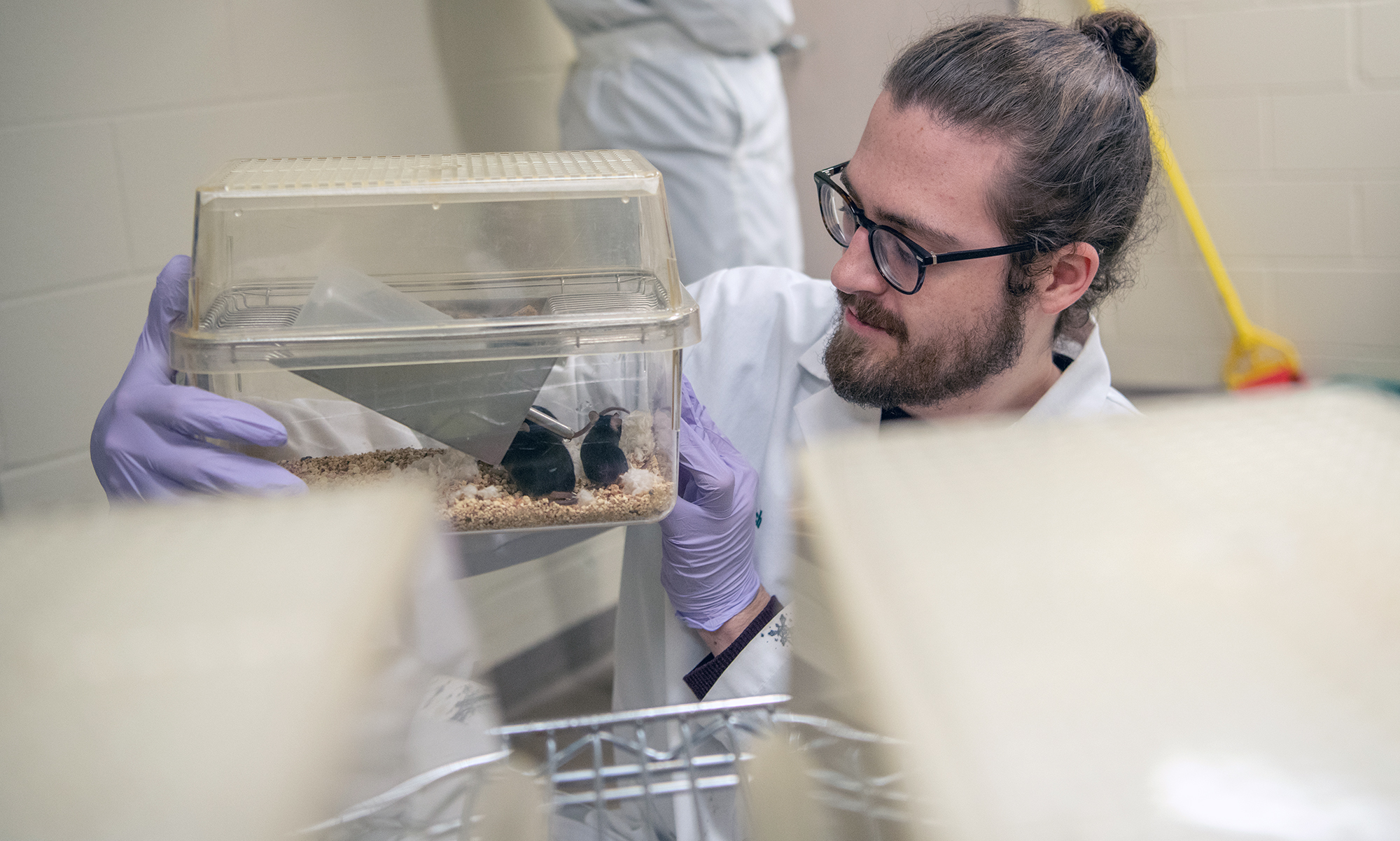 a male researcher wearing glasses, a lab coat and purple nitrile gloves examines two mice in a clear holding container with bedding and a water dispenser