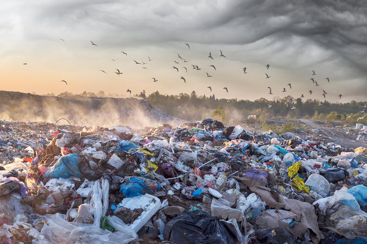 A landfill at sunrise with fog and birds flying overhead and tree-lined hills in the background