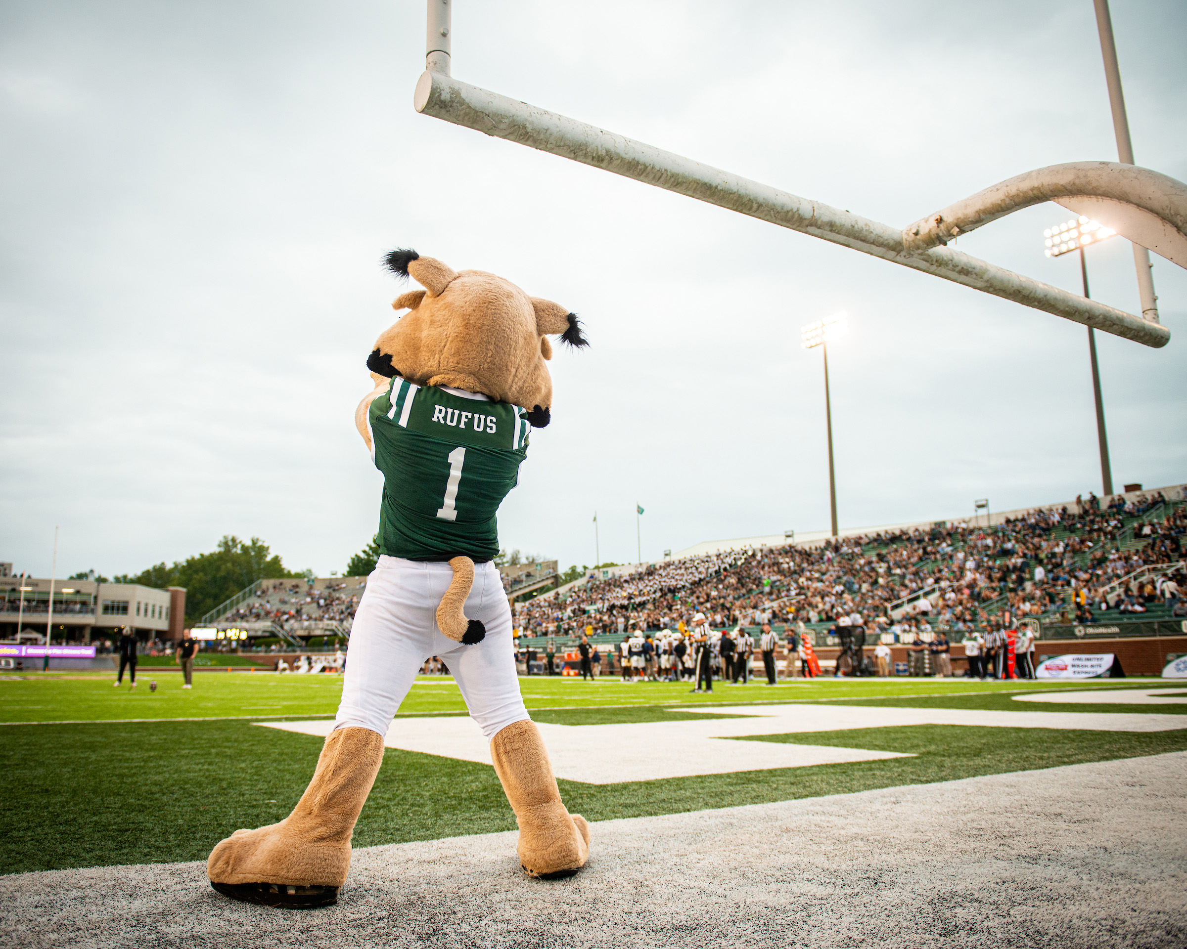 Rufus looks on at Peden Stadium during Homecoming 2024