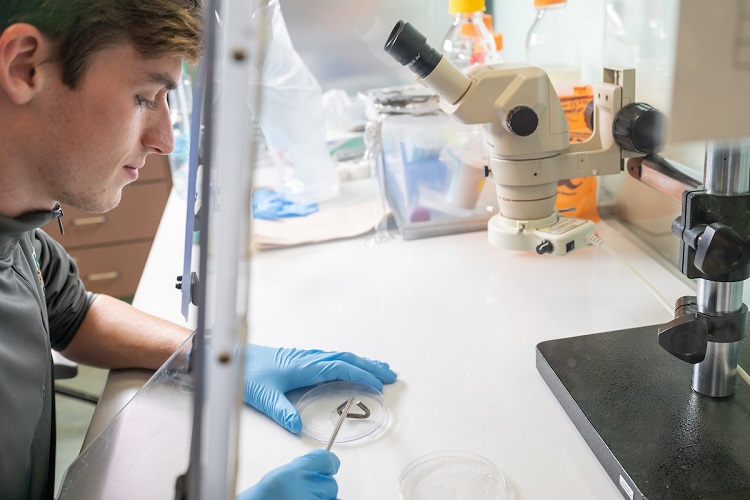 Nathan Smith works in the research lab.