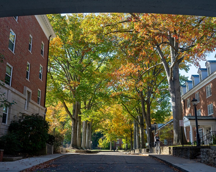 Colorful fall leaves surround the brick buildings at Ohio University on a fall day