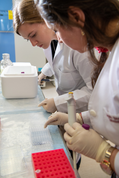 Students research test tubes in a medical research facility. 