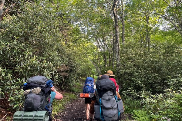 Students hiking in the woods