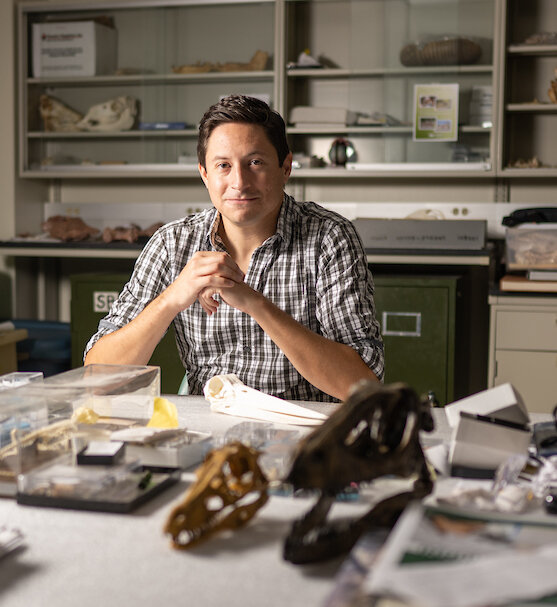 Chris Torres wears a short sleeve plaid shirt and sits behind a desk in his lab, surrounded by bird bones and other artifacts of study