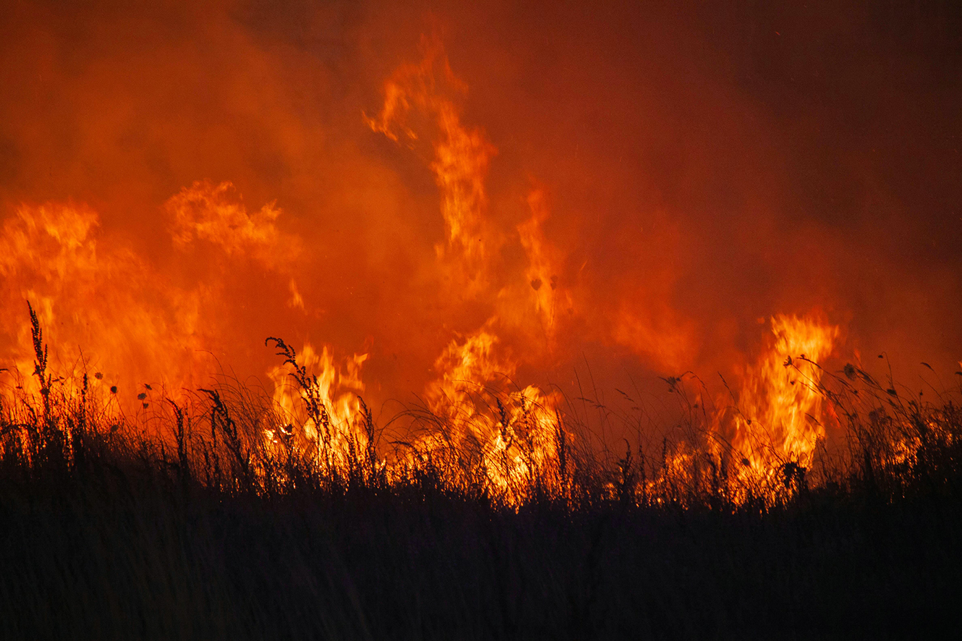 Orange flames rage behind a scorched grassland.