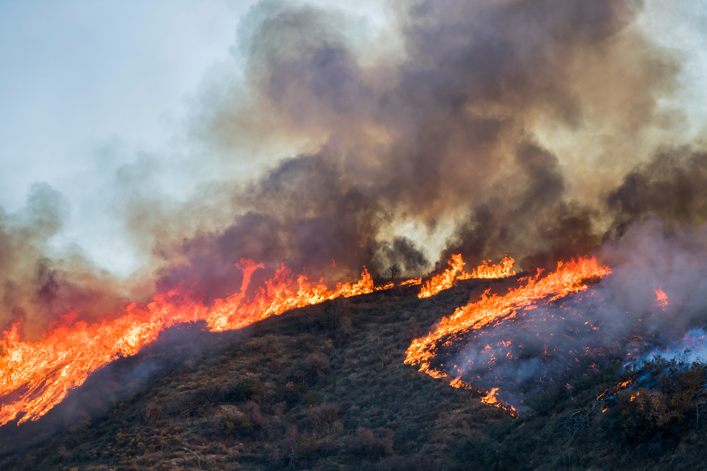 A wildfire burns brush and trees near Los Angeles.