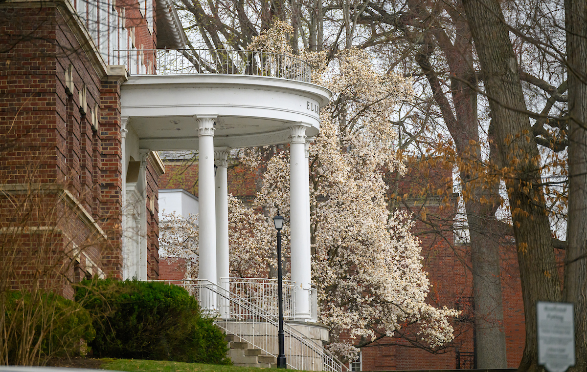 Ellis Hall is shown in the spring surrounded by flowering trees