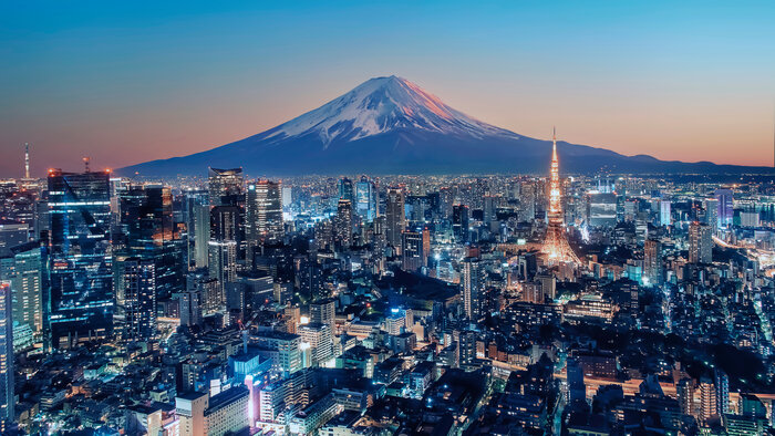 Mt. Fuji